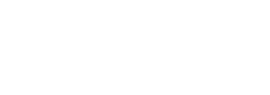 NSW Logo